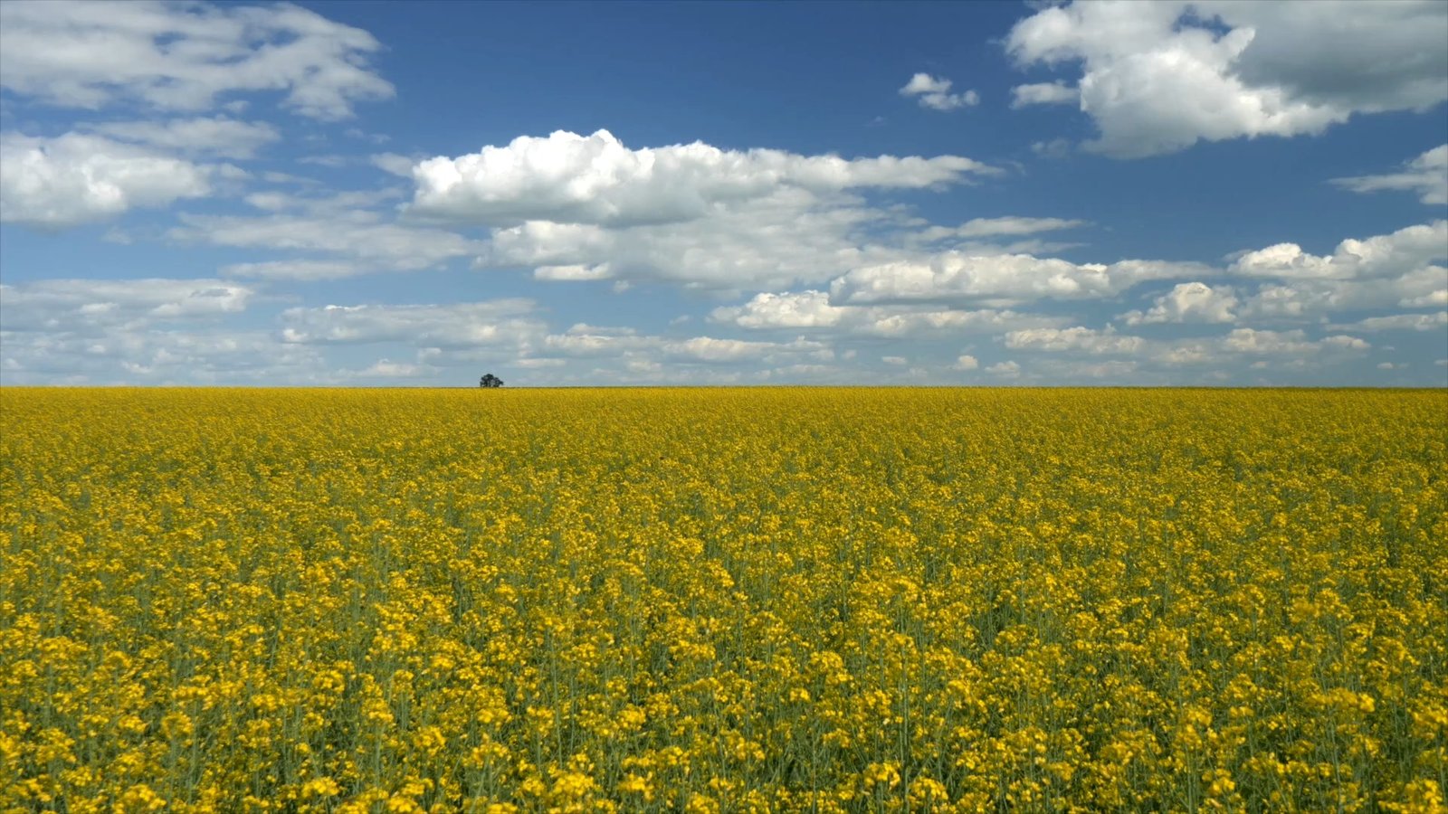 Straipsnio nuotrauka
